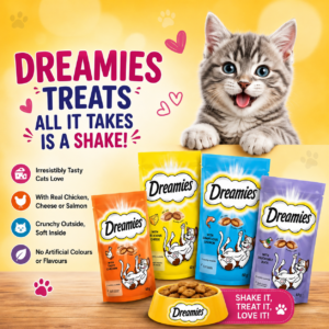 Dreamies Dry Cat Treats